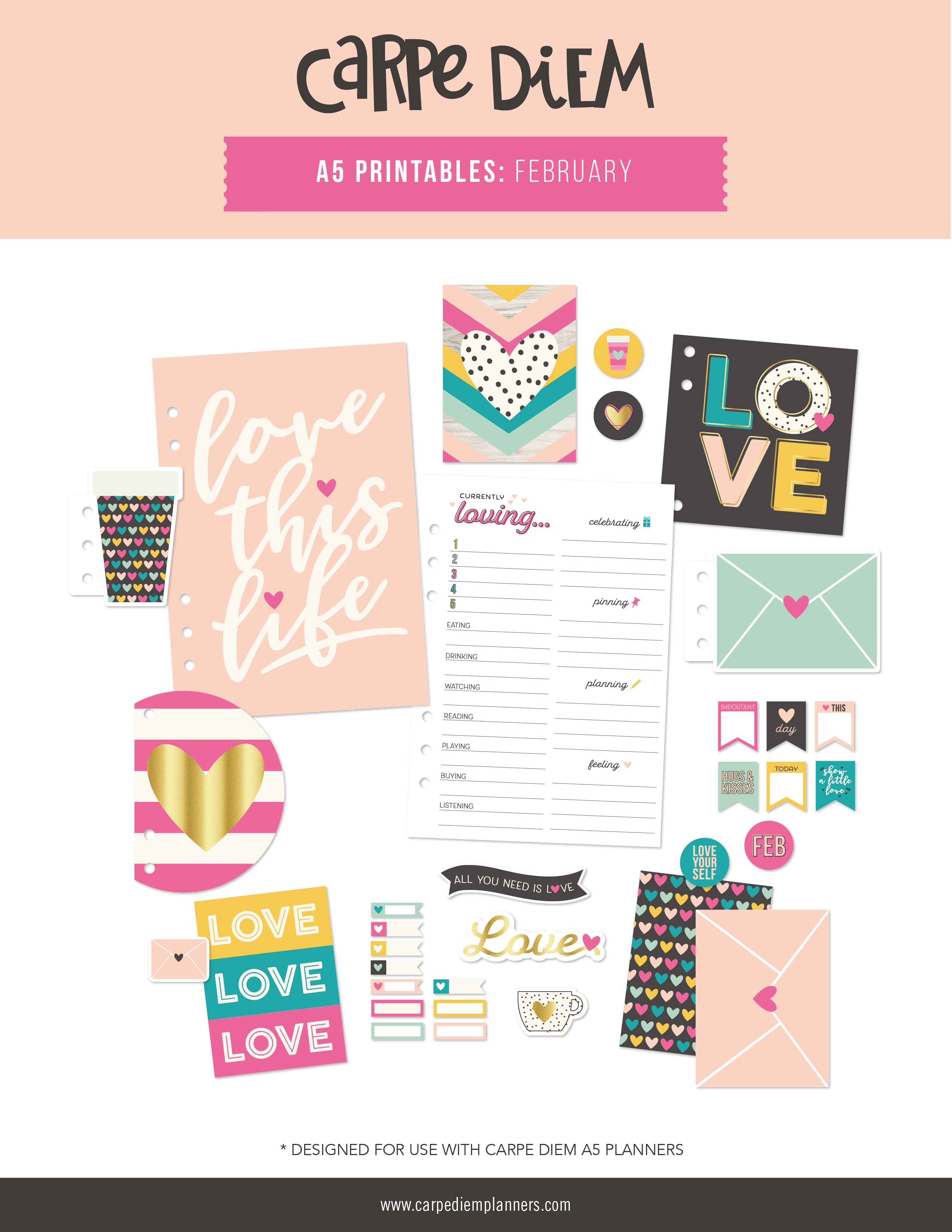 Carpe Diem A5 Planner Printables - February Freebie – Carpe Diem Planners