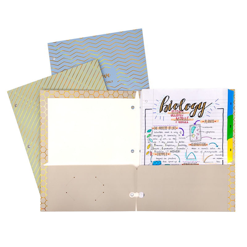 Haze 2-pocket Portfolio - Assorted Pack of 3