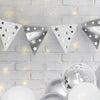 Pukka Party Silver Celebration Pack