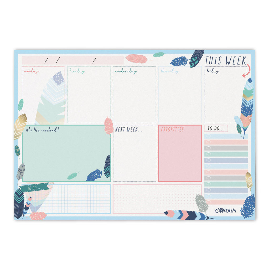 Carpe Diem A5 Weekly Planner Coral #4931 – Everything Mixed Media