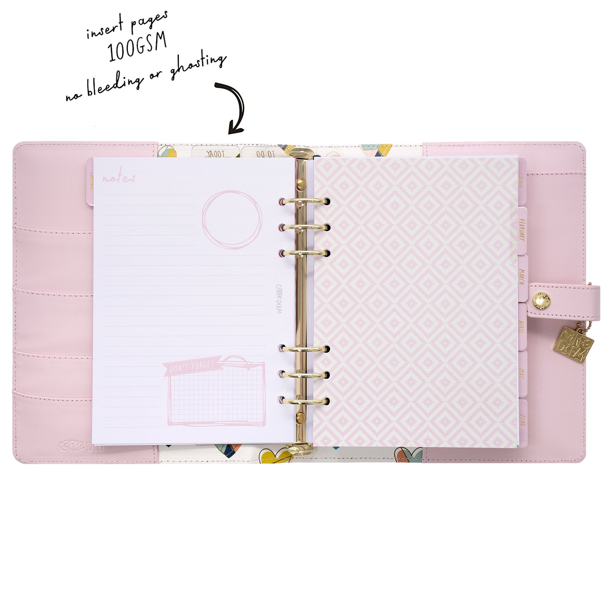 NEW Carpe Diem Planner Unboxing and Reveal 
