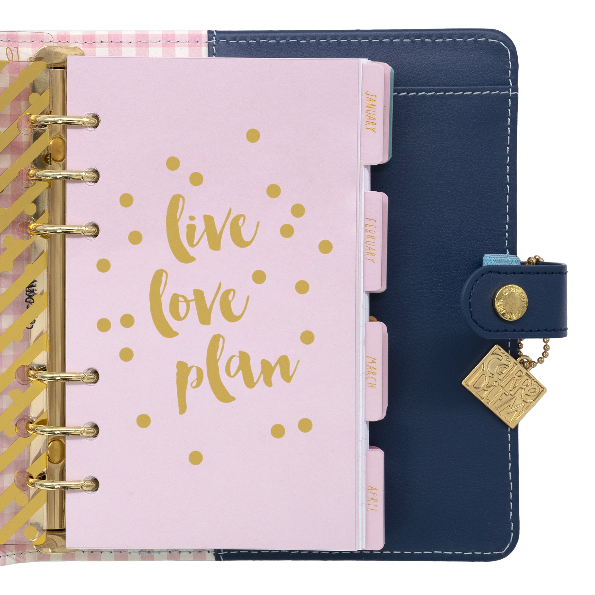Buy Dainty Floral Vellum Set Planner Travelers Notebook Disc Online in  India 