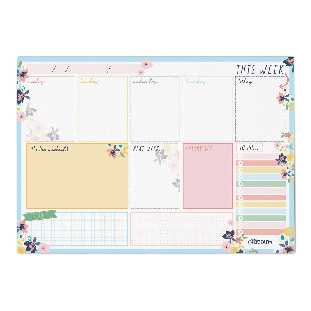 Pukka Pad, Carpe Diem, Work, Goal, Planner with Weekly, Monthly, Undated  Inserts, A5 8 X 9.5 X 1.6 Inches, Blush