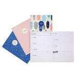 4 pack fo notebooks