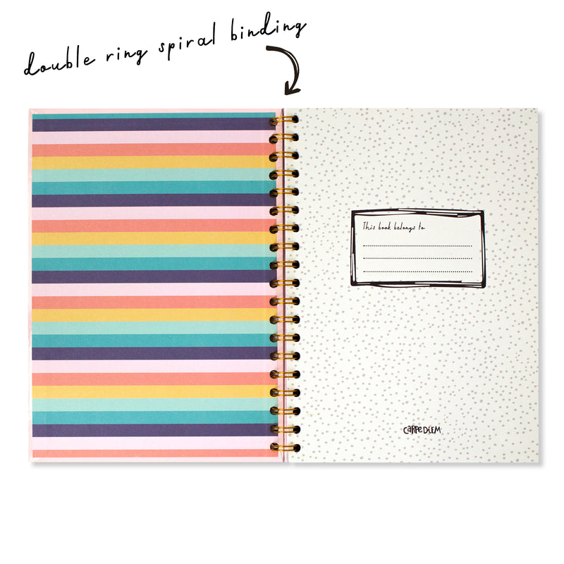 Pastel B5 5-subject notebook -3 pack – Carpe Diem Planners