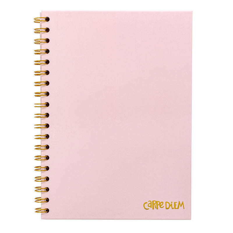 Carpe Diem ballerina pink B5 hardcover notebook