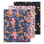 Bloom Pocket Portfolio Assorted Pack of 3